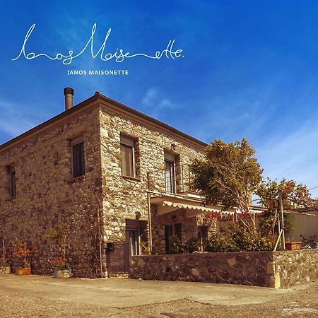 Ianos Maisonette Paralia Sergoulas Exterior foto